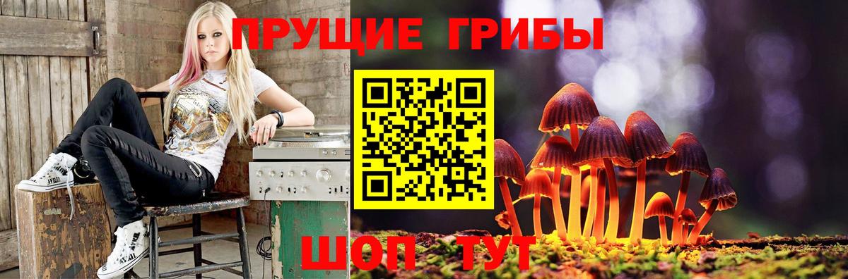 Галлюциногенные грибы MAGIC MUSHROOMS Кропоткин